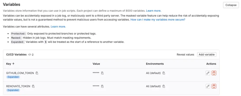 Renovate Variables Setting